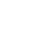 Globe icon