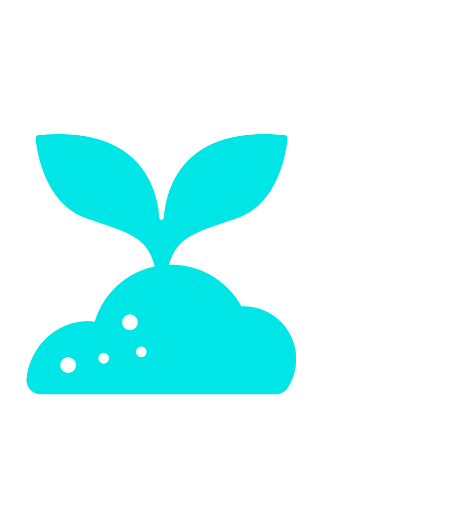 Vegetable icon