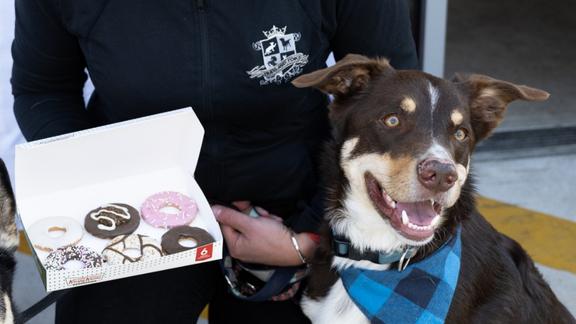 It’s a sweet export deal for Huds and Toke