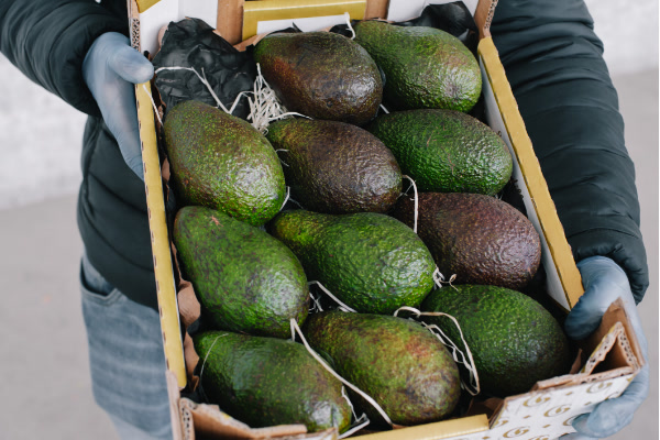 Image of avocados in a box being held by a worker