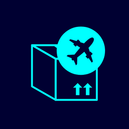 Icon of shipping box and plane.