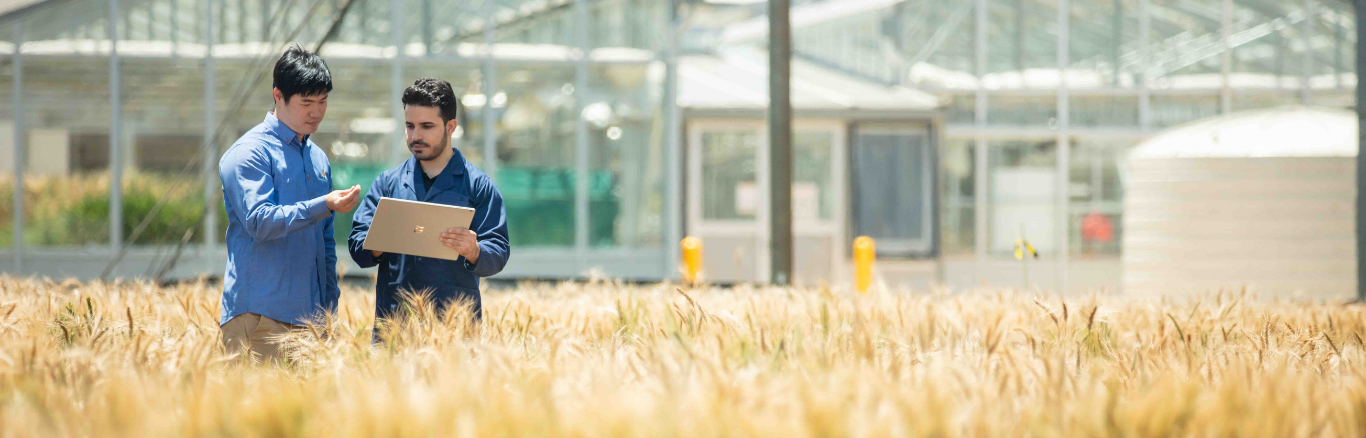 Agribusiness representatives inspecting a crop field